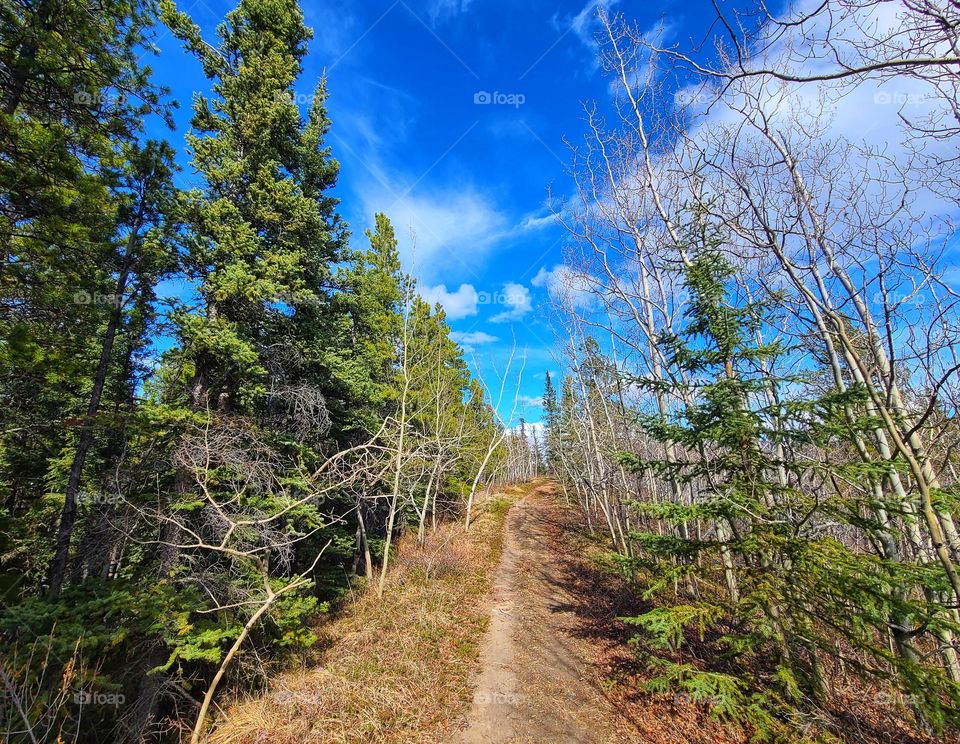 Beautiful blue sky over springtime ridges