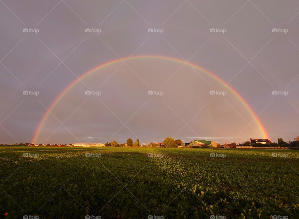 Double rainbow in the flowerfields