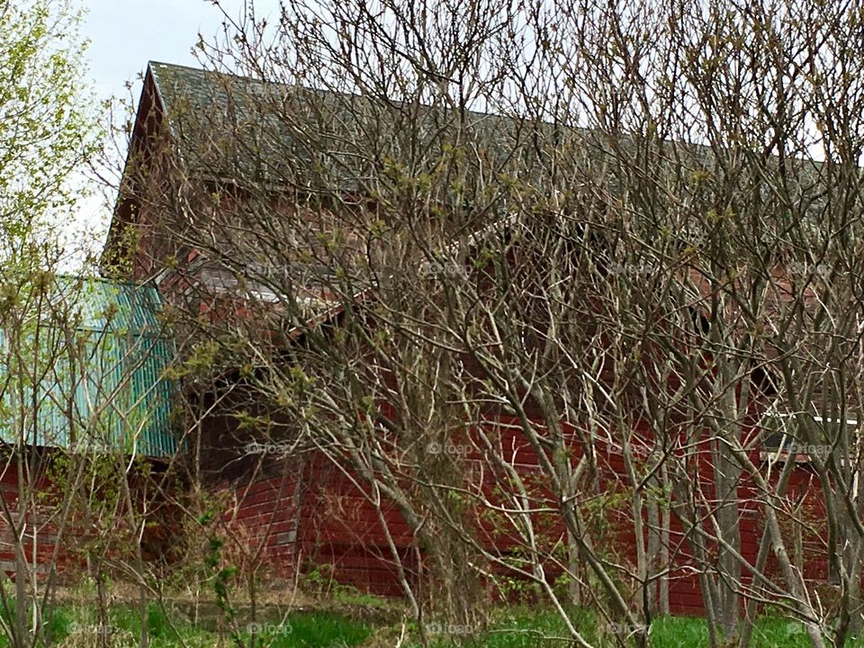 Barn in the brush