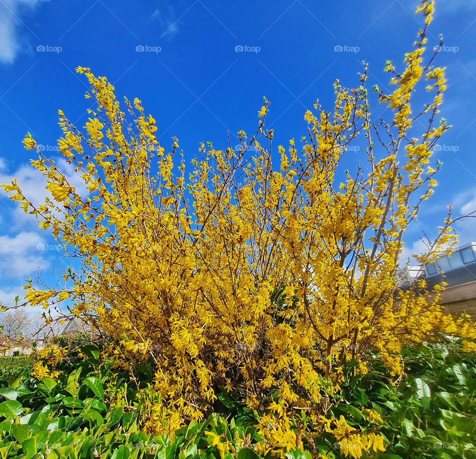 Energy, the colors of spring