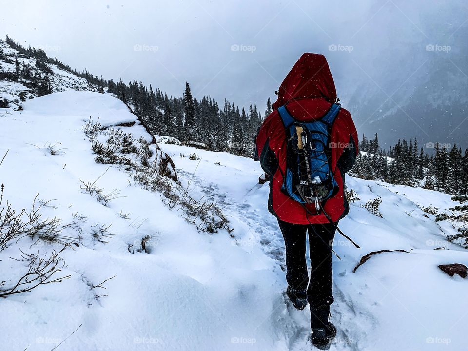 Hiking in the snow