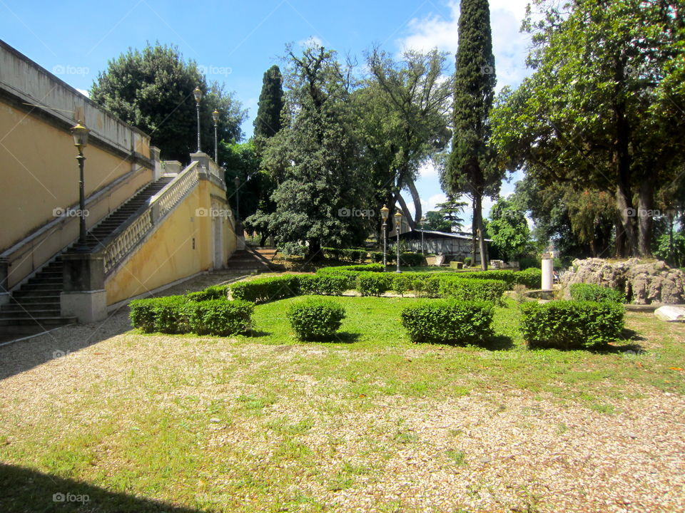 Tree, Garden, Architecture, No Person, Grass