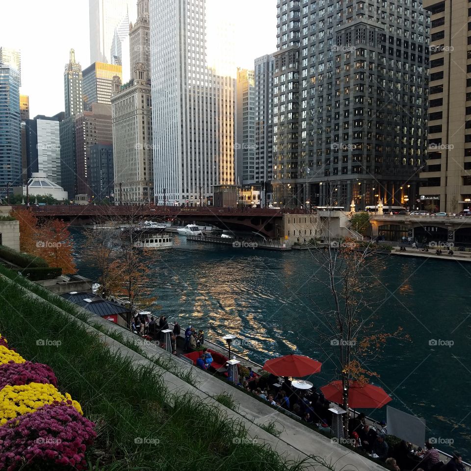 Chicago river after Cubs win