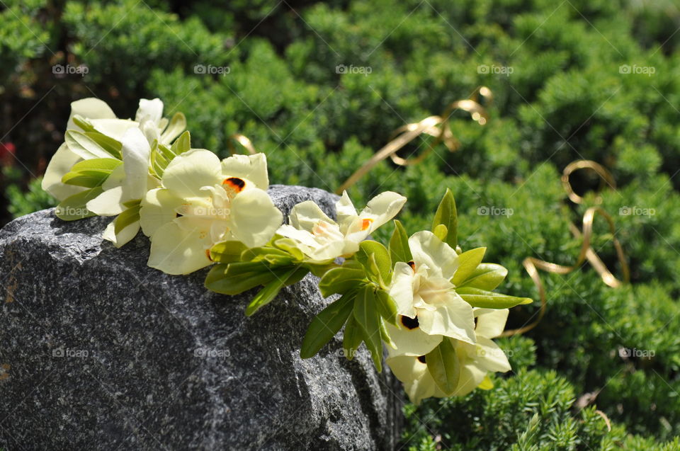 Beautiful flower crown