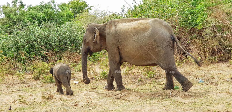 Nationalpark Sri Lanka