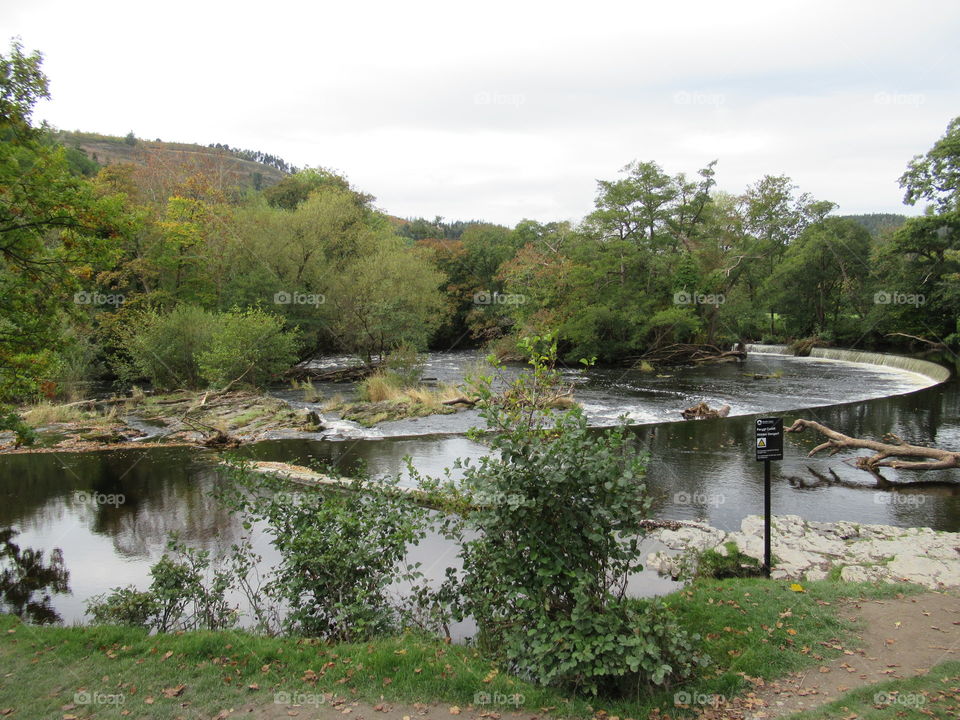 Horseshoe falls