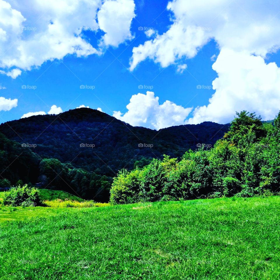Beautiful lush, eye catching, green hills and trees of Western North Carolina.