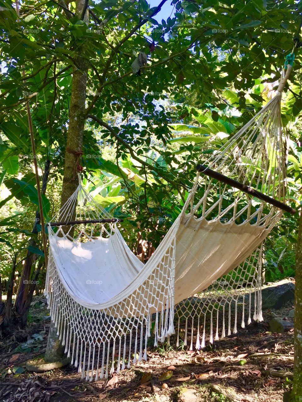 Otra perspectiva de mi Hamaca obsequiada por un gran amigo y en el que me gusta descansar