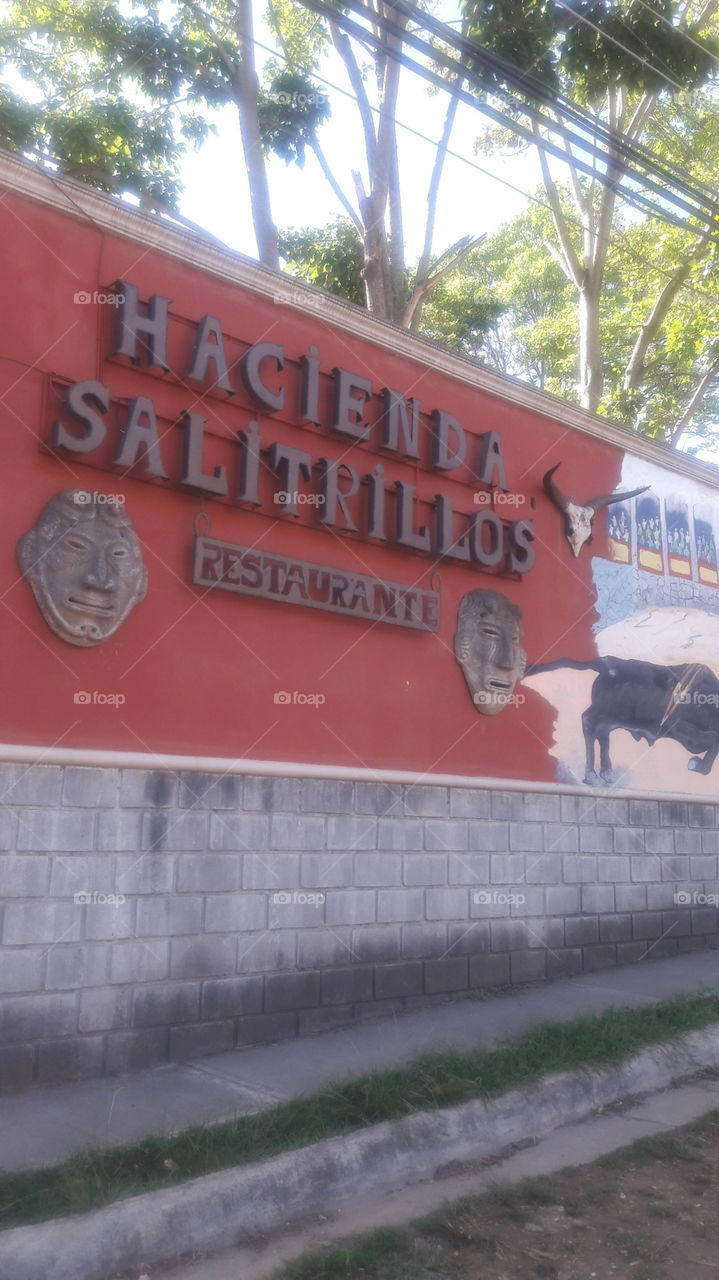 restaurante Salitrillos de Aserri C.R