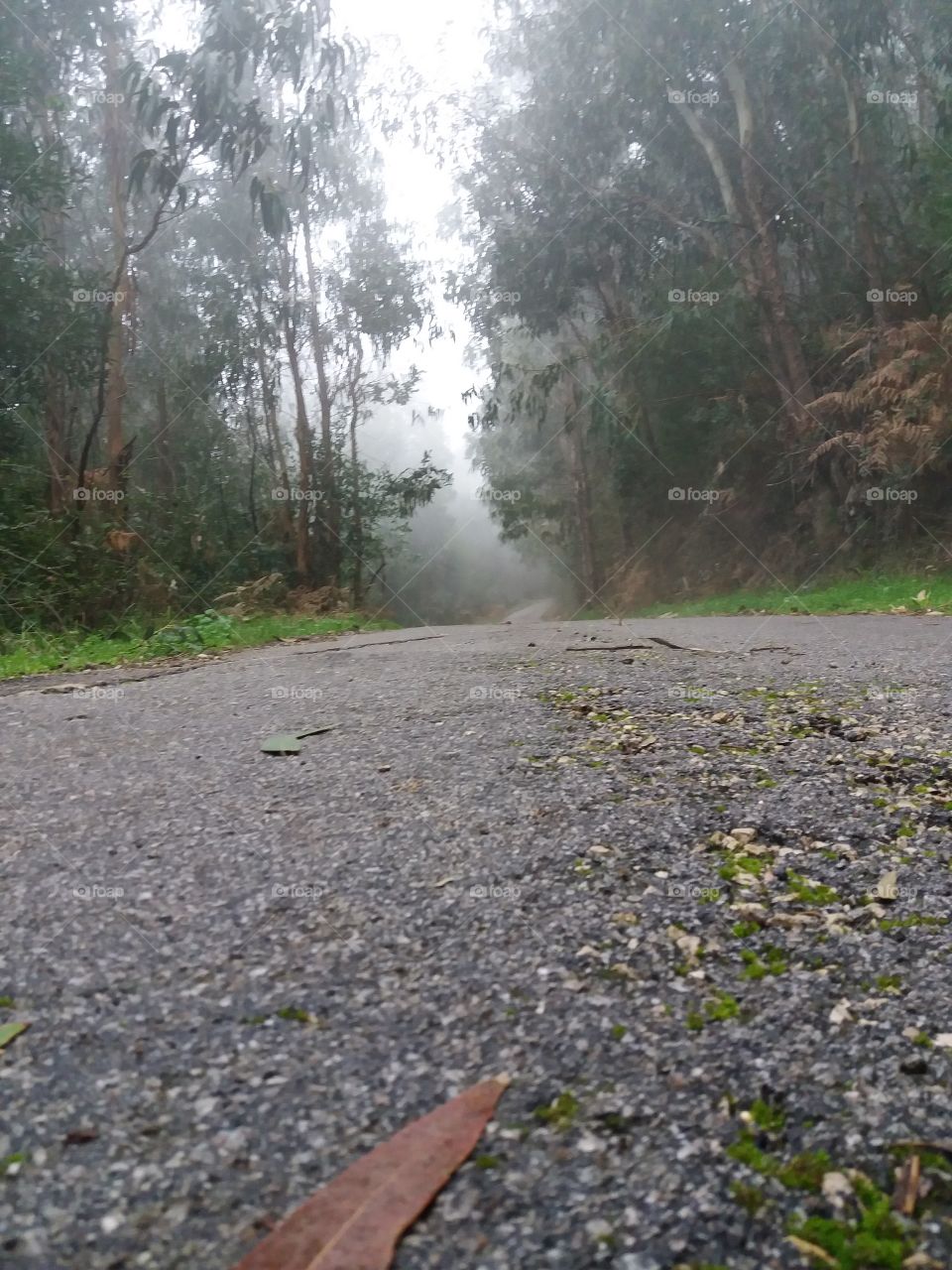 All about perspective