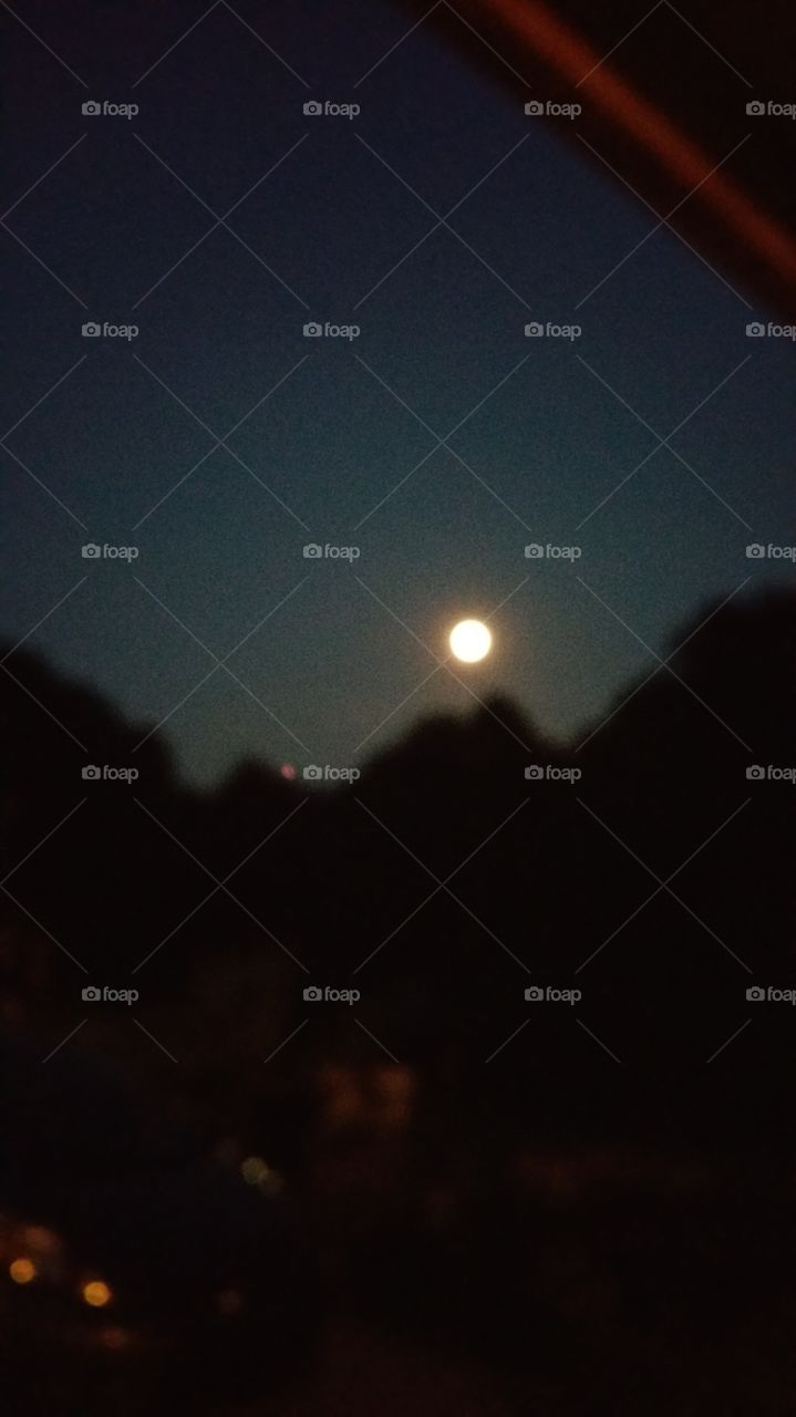 full moon. full moon