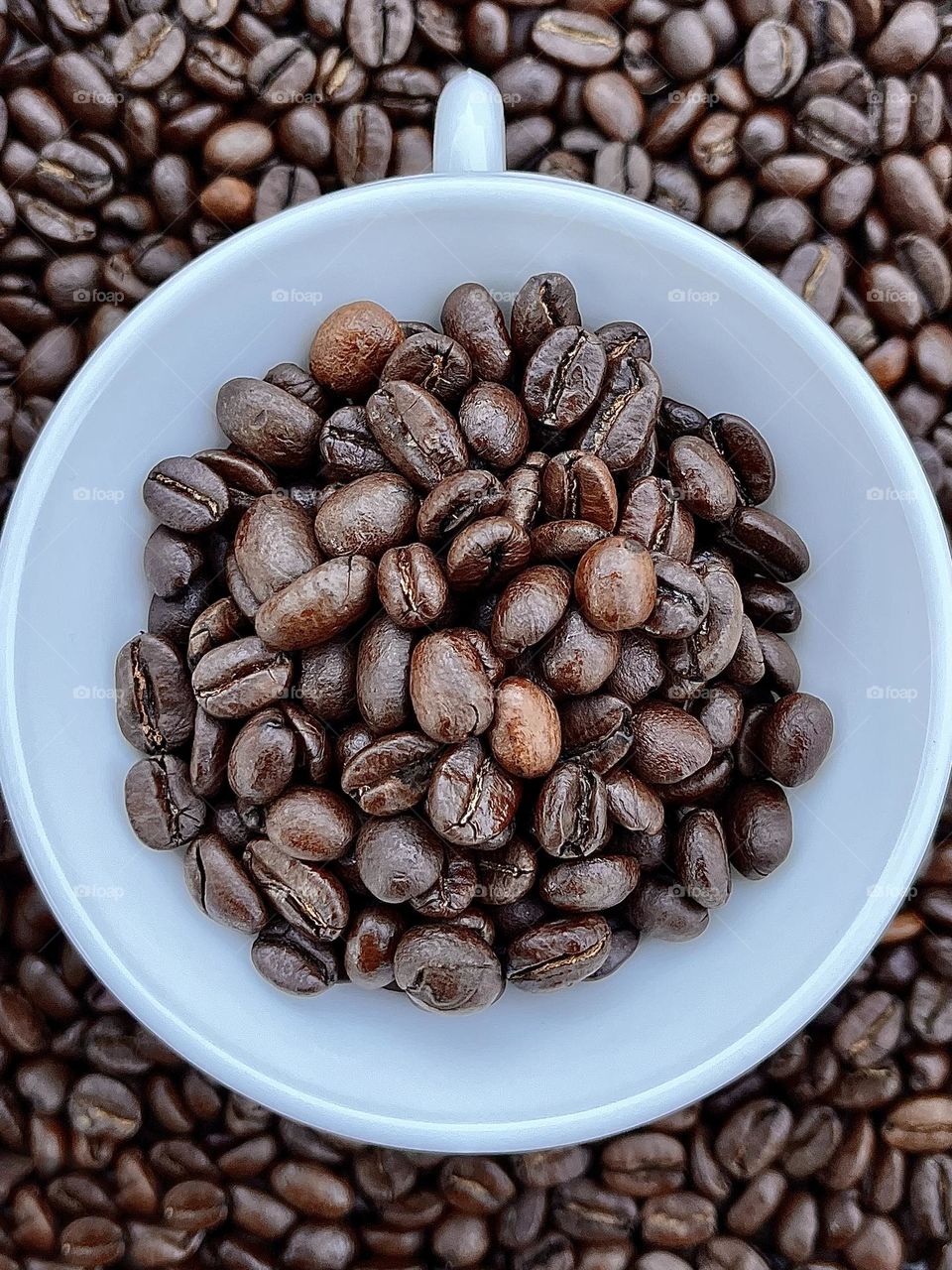 Whole Coffee Beans in White Cup