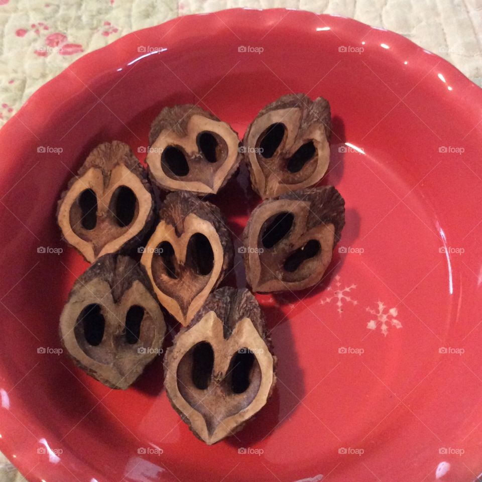 Black Chestnuts. These are naturally opened black chestnut she'll halves
