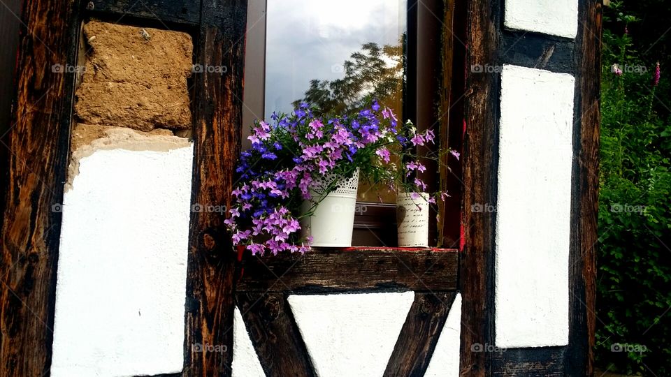 Pretty summer windowsill