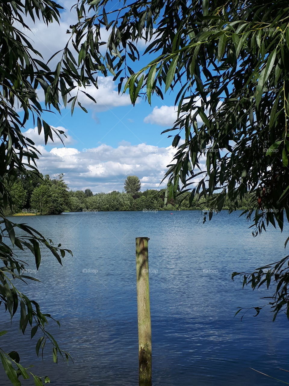 Beside A Lake