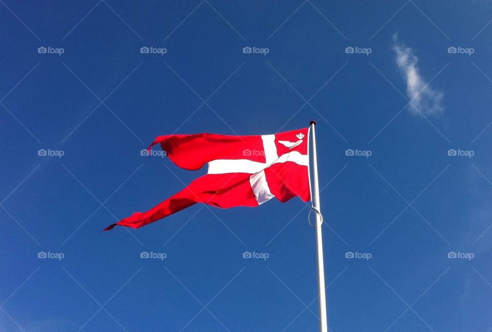 Danish flag