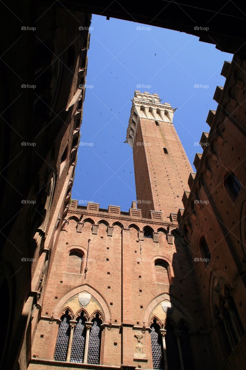 Torre del Mangia, Siena, Italy