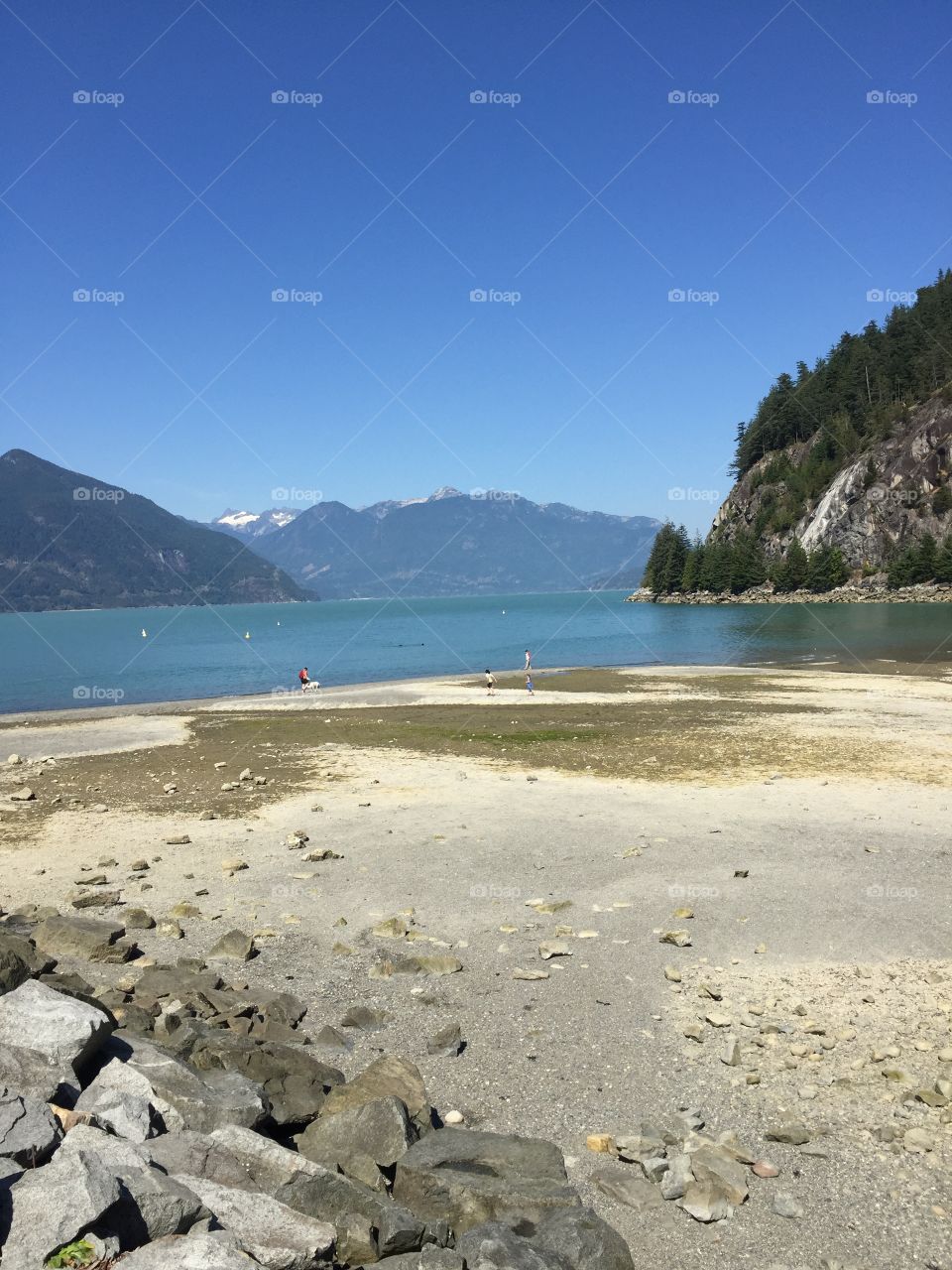 Individuals having fun with their dogs on Porteau Cove beach while the tide is out, looking north into Howe Sound.