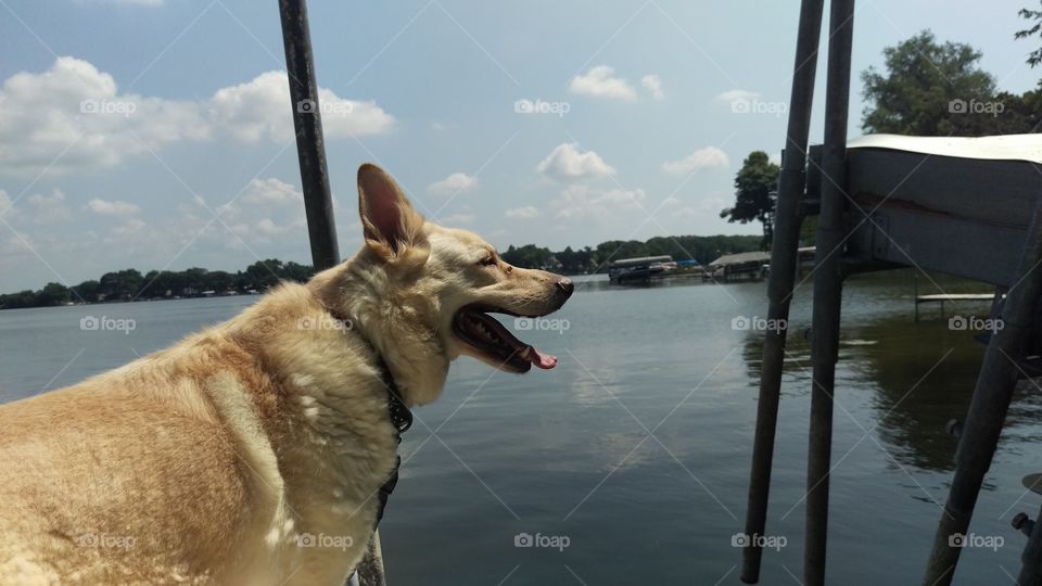 Water, No Person, Outdoors, Nature, Summer