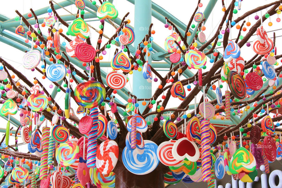 candy tree