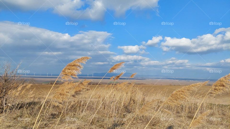 Lesson 2: Join to Premium by Foap Missions