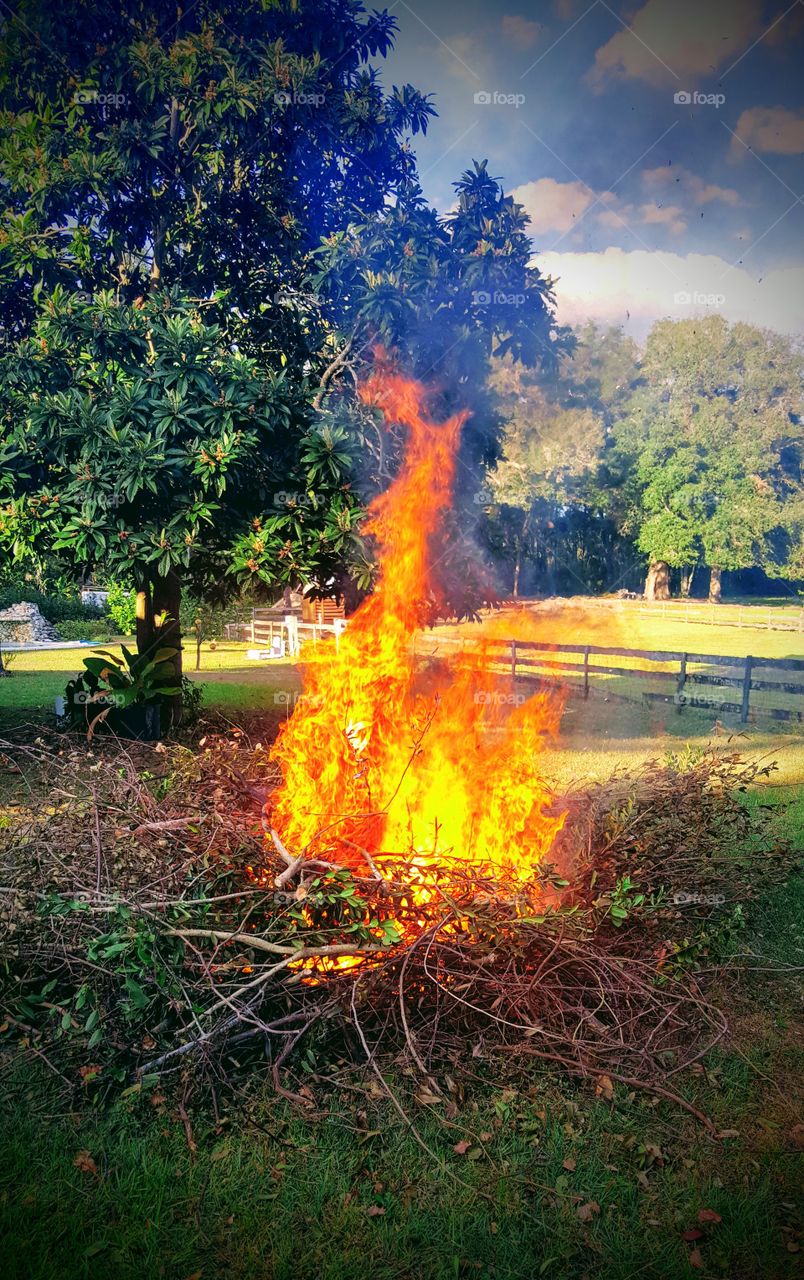 Burning branches