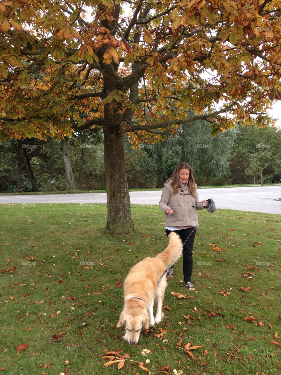 tree girl dog autumn by liselott