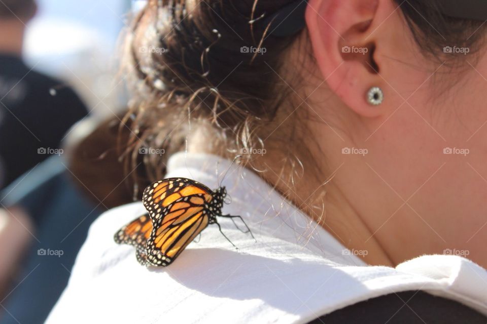 Butterfly on Shoulder