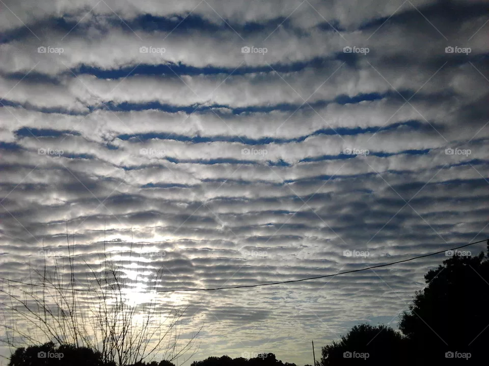 Sky
