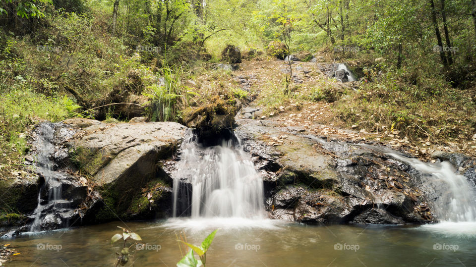 Waterfall in the forest 