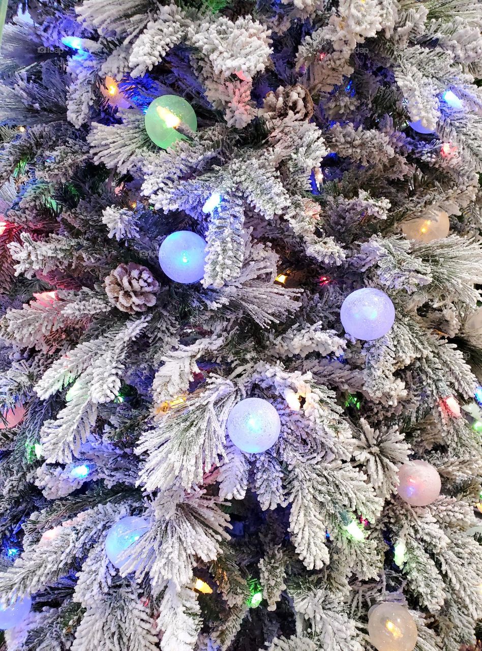 Christmas Tree of Snow and Lights