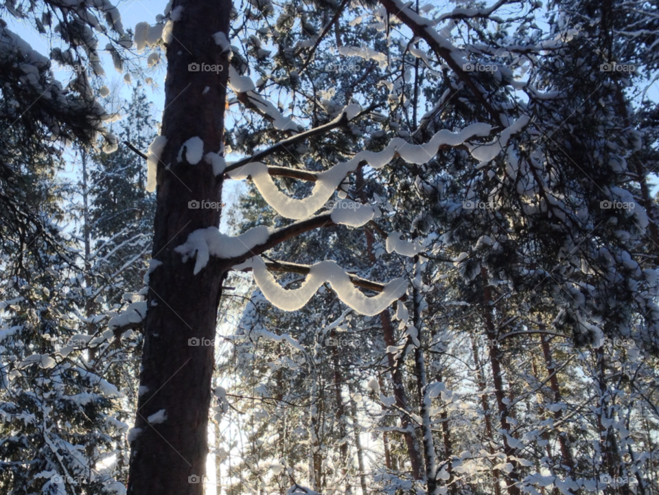 snow winter sweden tree by ingalena