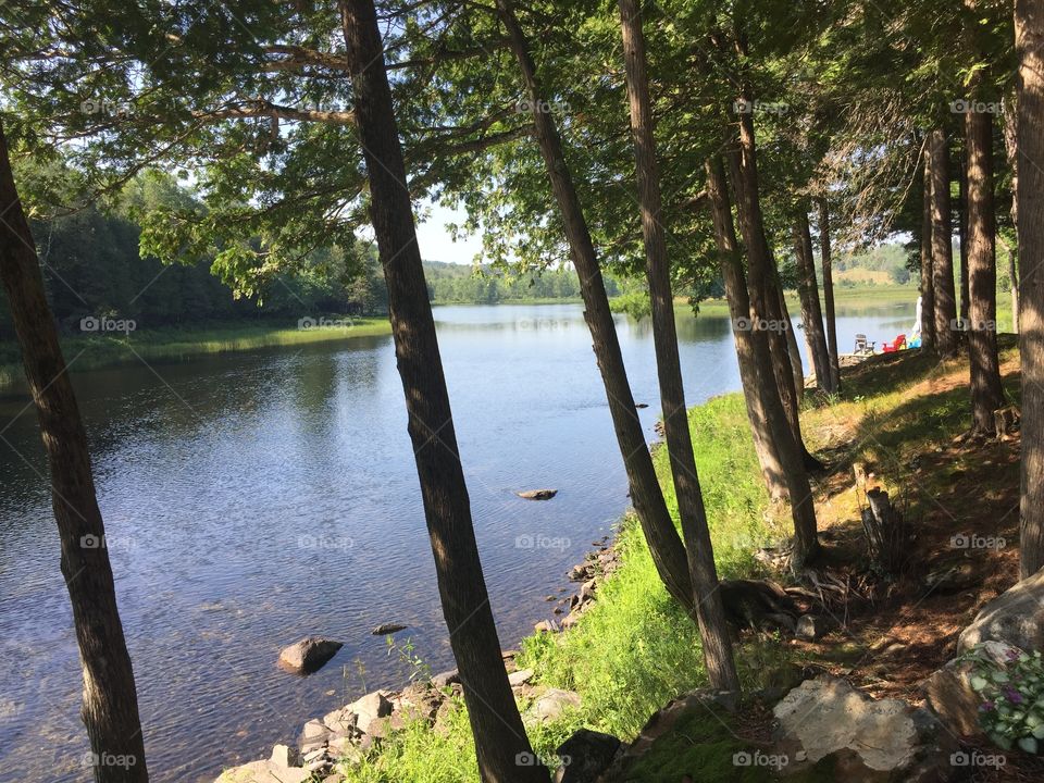 River and nature