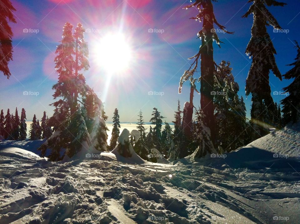 A New Year's Day snowshoe to the top of Hollyburn Mountain.  Amazing  views, glorious sunshine, blue sky and massive amounts of fresh snow greeted us that day. What a way to start a new year!