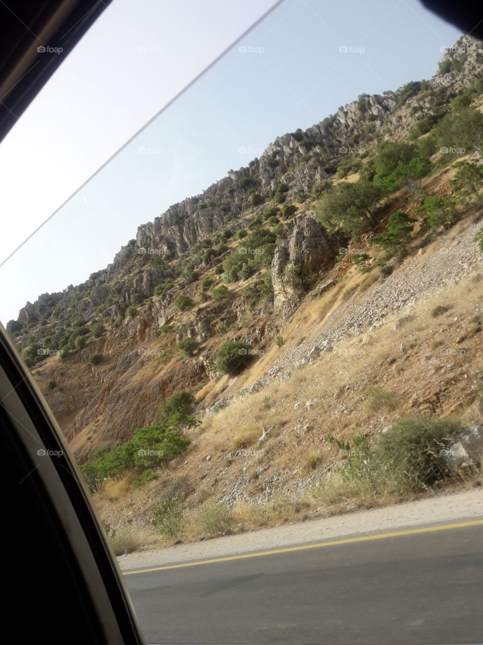 my weekend 🌲🌲🌳