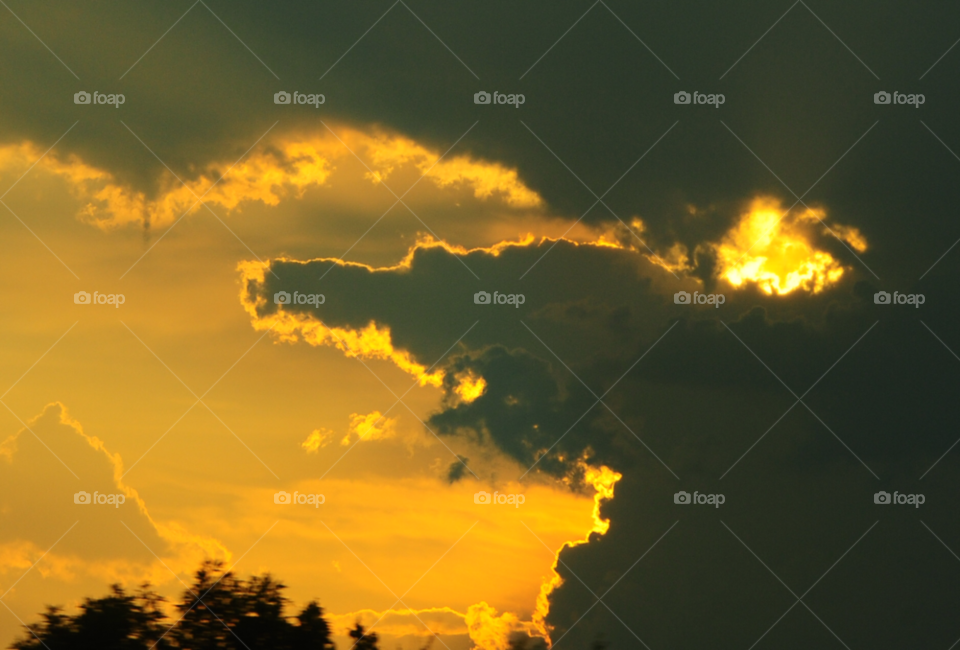 clouds cloud shapes alligator cloud by lightanddrawing