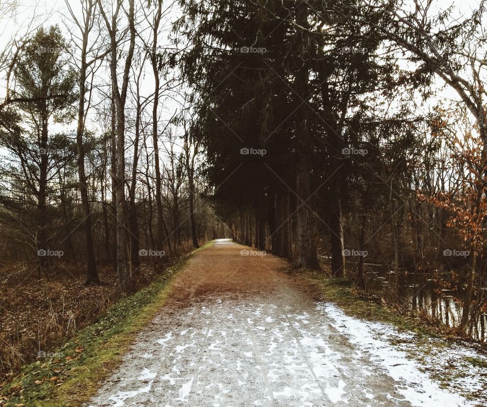 Barren winter roads 