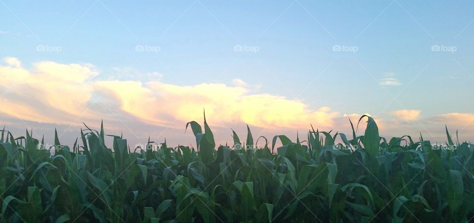 Driving through the American midwest