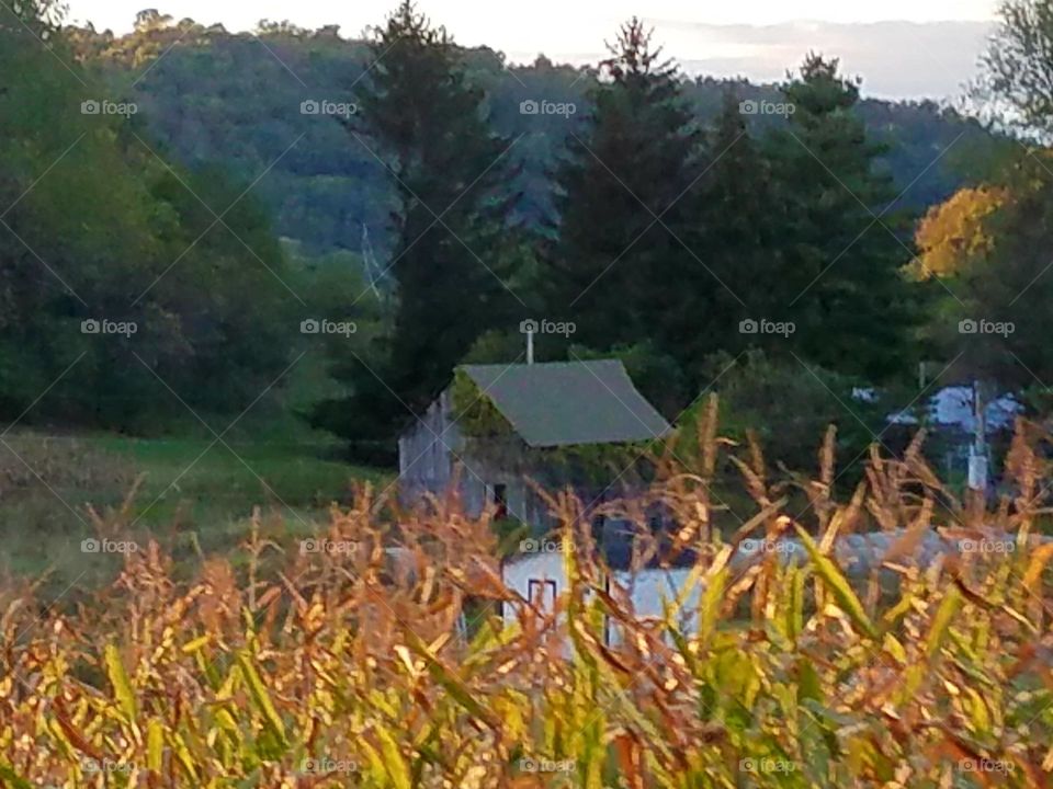 Driving the Back Roads and enjoying everything around us