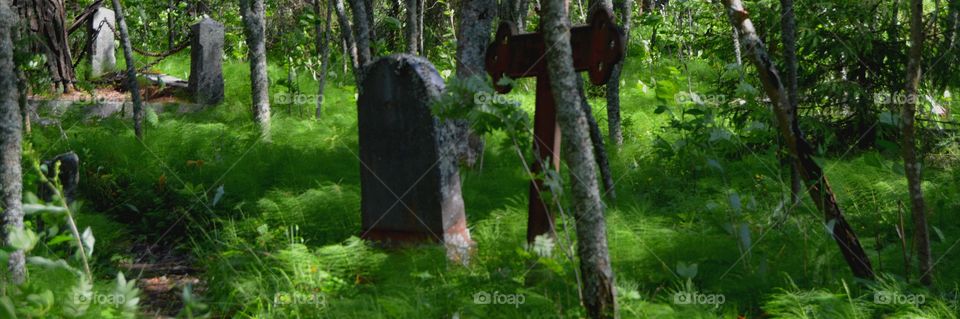 Old cemetery