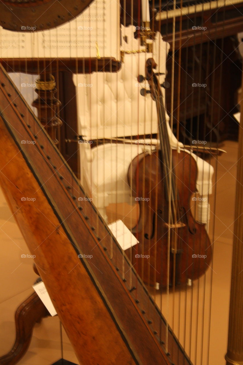 Instrument, Music, Wood, Bowed Stringed Instrument, Musician