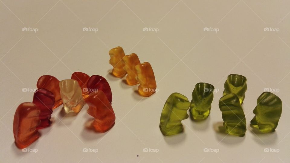 rubber bears in focus groups