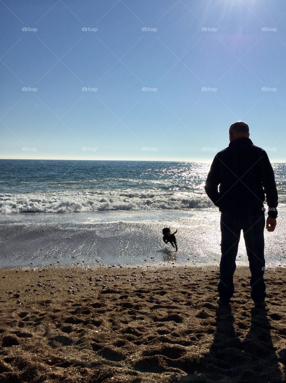 Man and his dog by the sea 