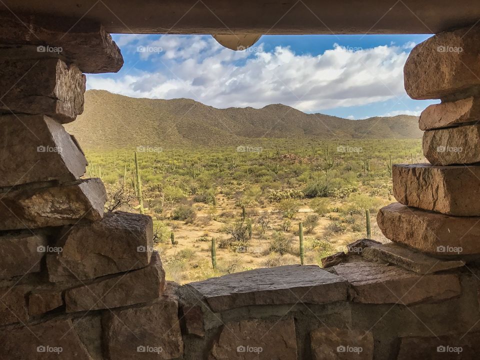 Beautiful Desert Landscape 