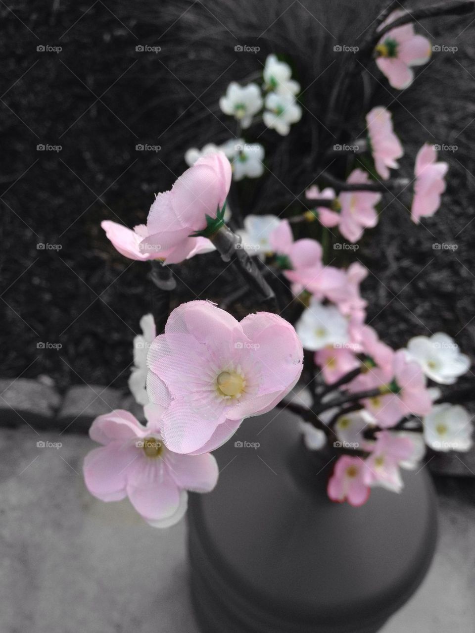 pink flower white pot by brendon.hivner