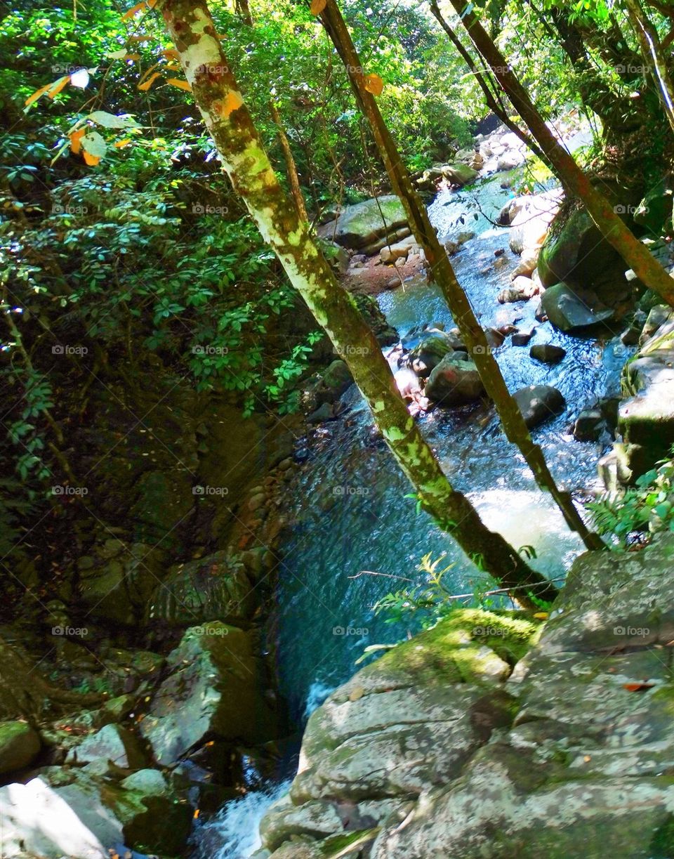 High angle view of river