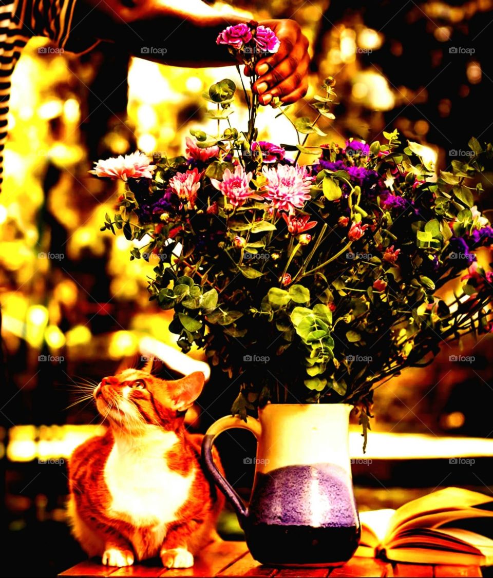 What was she thinking about? Wanna take a guess?