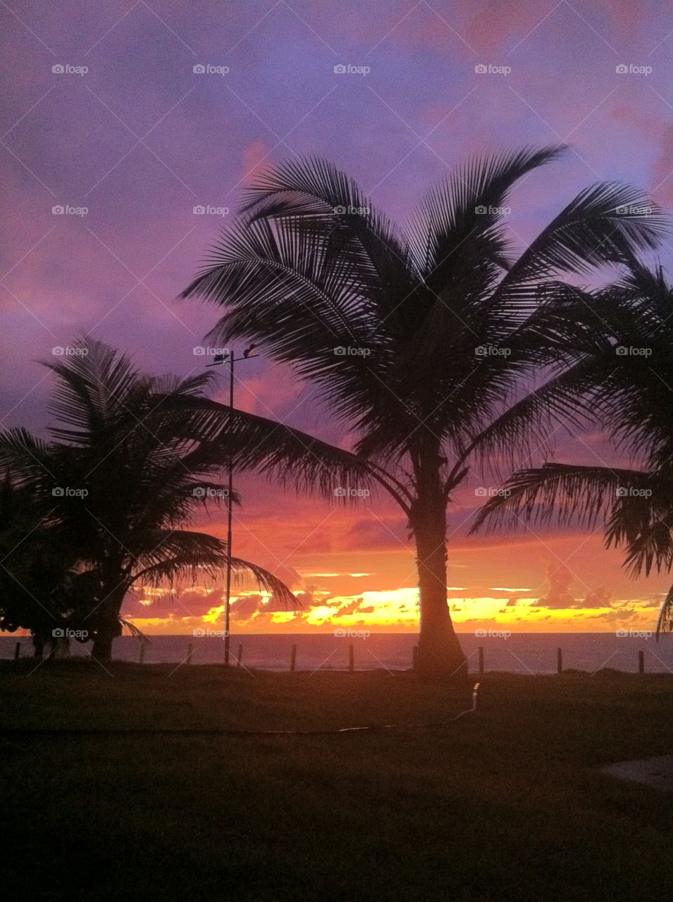 Linda paisagem de Porto de Galinhas (Pernambuco, Brasil)