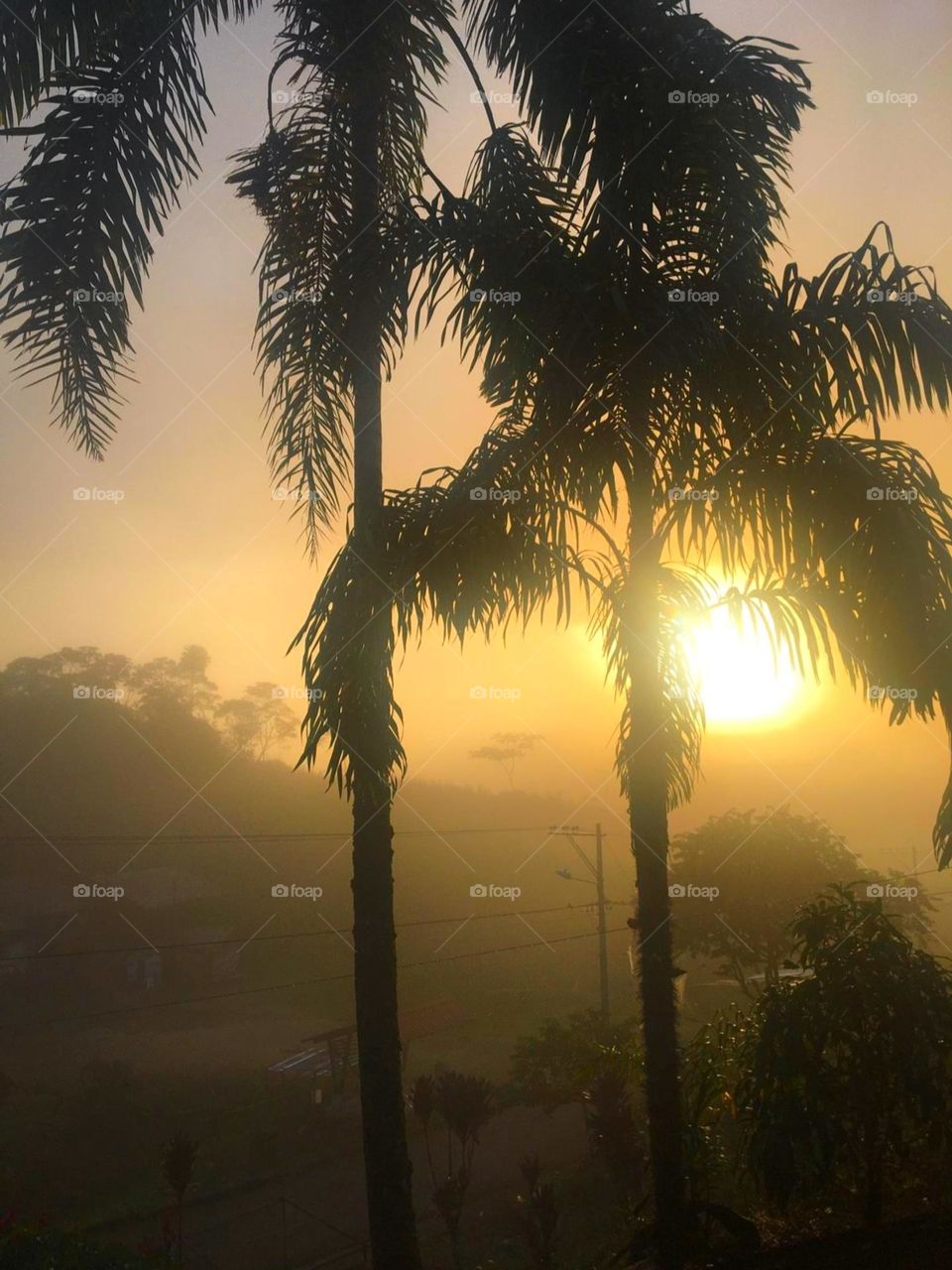 Si estuvieras en la Amazonía Ecuatoriana verías cada mañana un amanecer de estos, con un sol radiante que cobija a la naturaleza a su paso. 💛💥