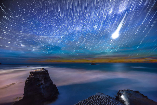 Muriwai gannet colony star trails